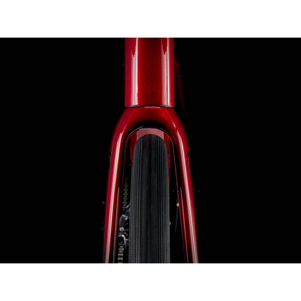 Domane AL 2 Gen 4