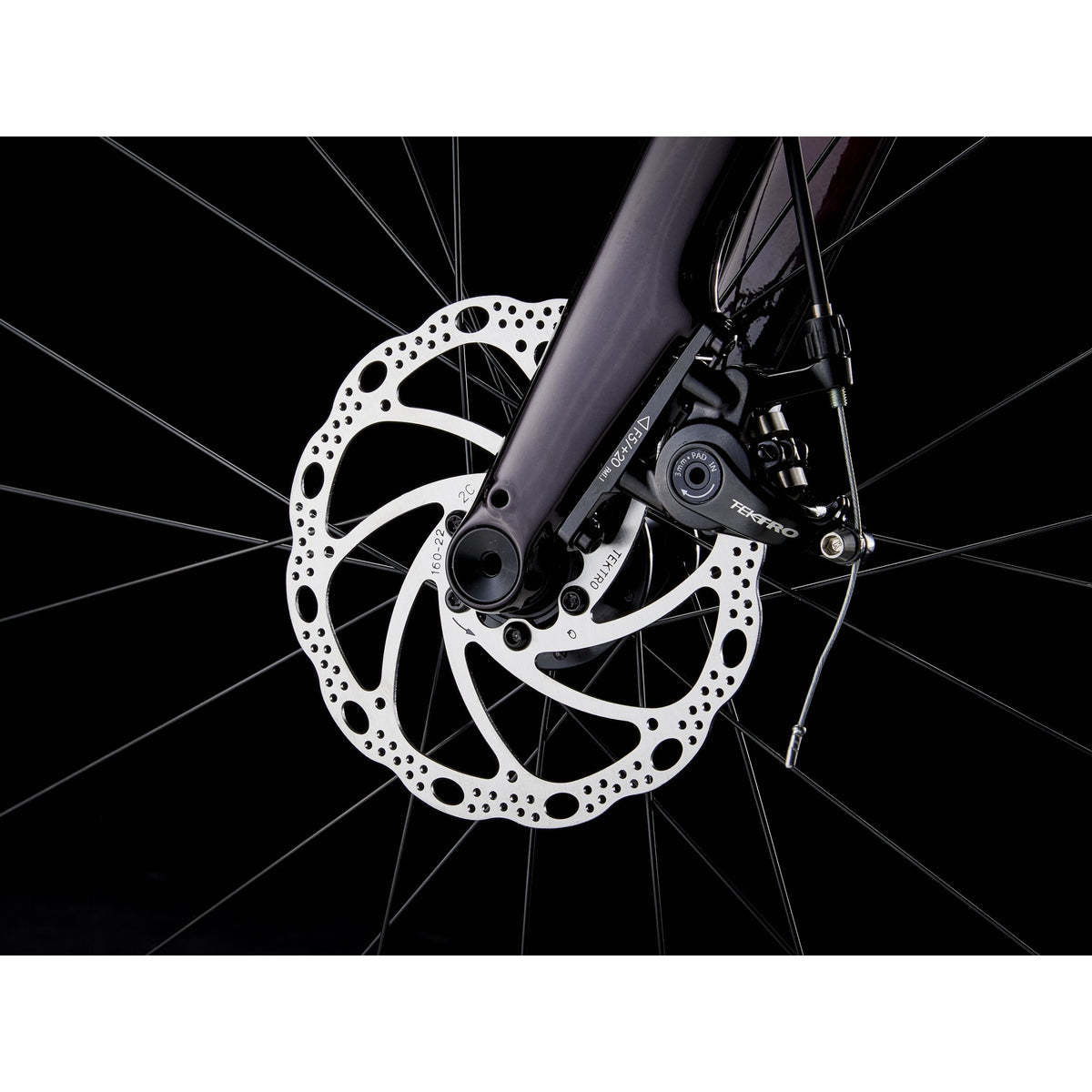 Domane AL 2 Gen 4