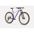 Procaliber 6