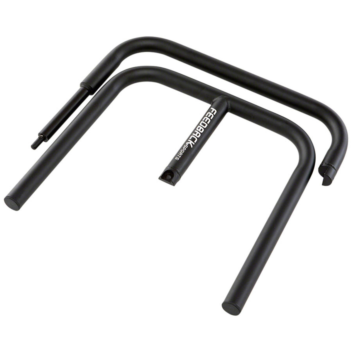 Scorpion Display Stand