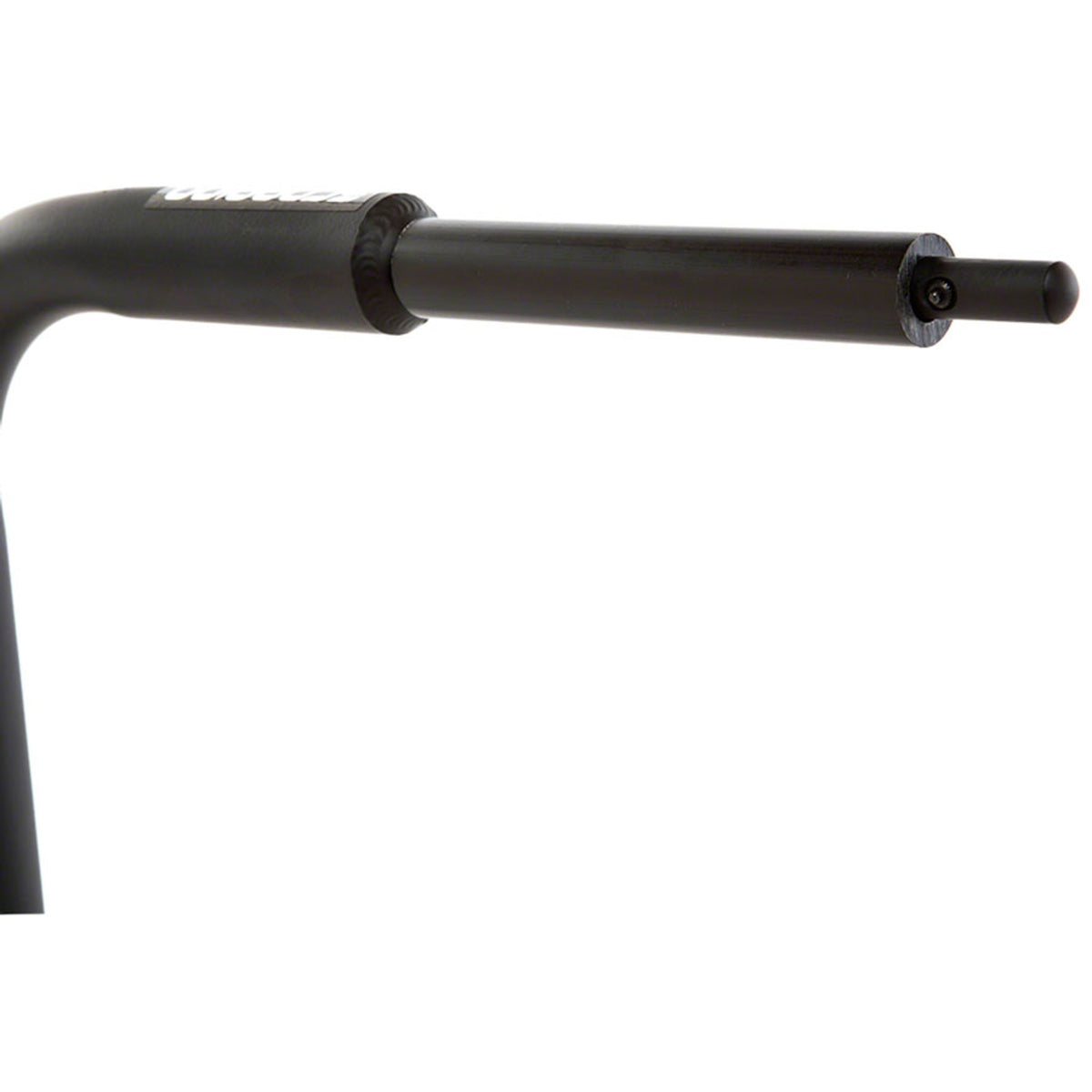 Scorpion Display Stand