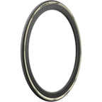 P ZERO Race RS Tire