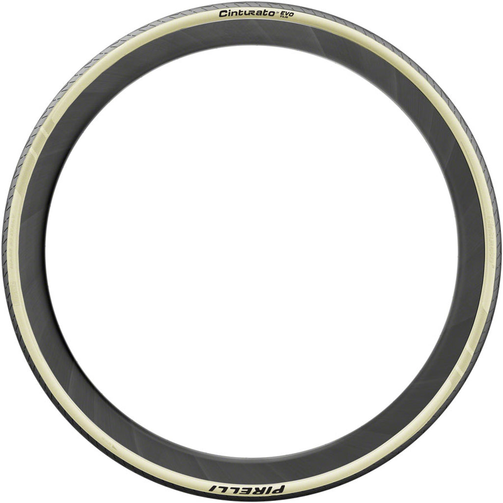 Cinturato EVO TLR Tire