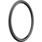 Angel GT Urban Tire