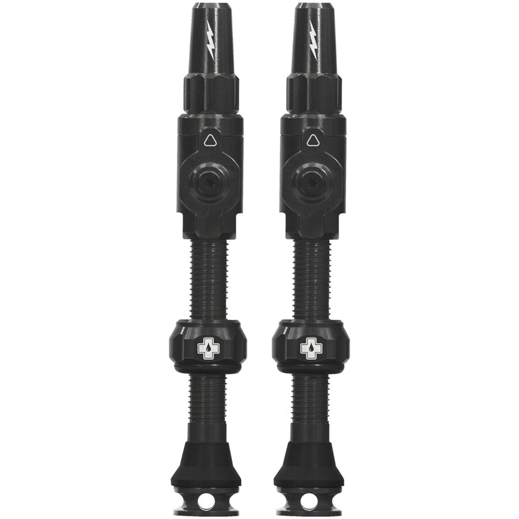 Big Bore Lite Tubeless Valve Stems