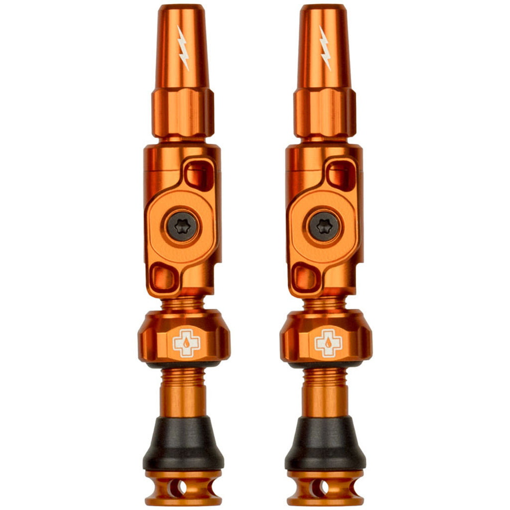Big Bore Lite Tubeless Valve Stems