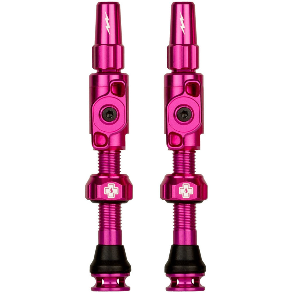 Big Bore Lite Tubeless Valve Stems
