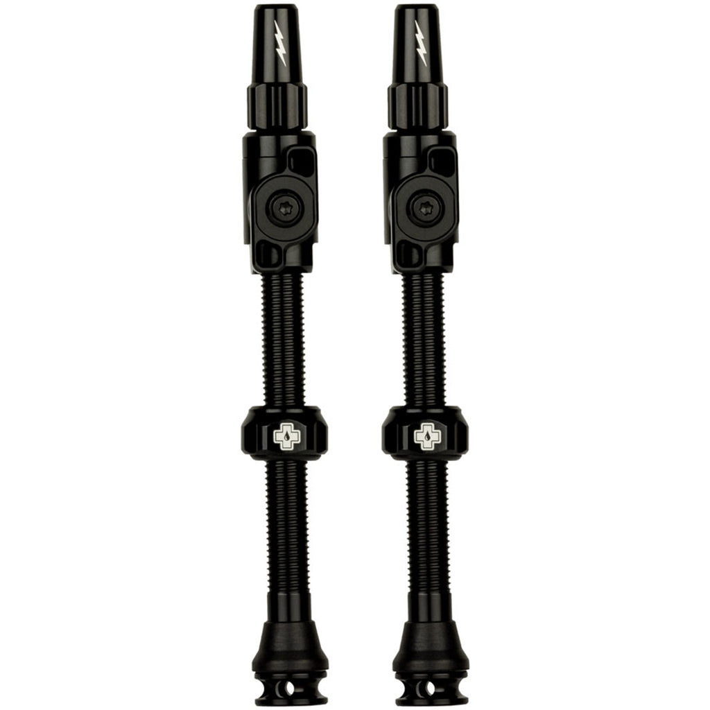 Big Bore Lite Tubeless Valve Stems