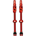 Big Bore Lite Tubeless Valve Stems