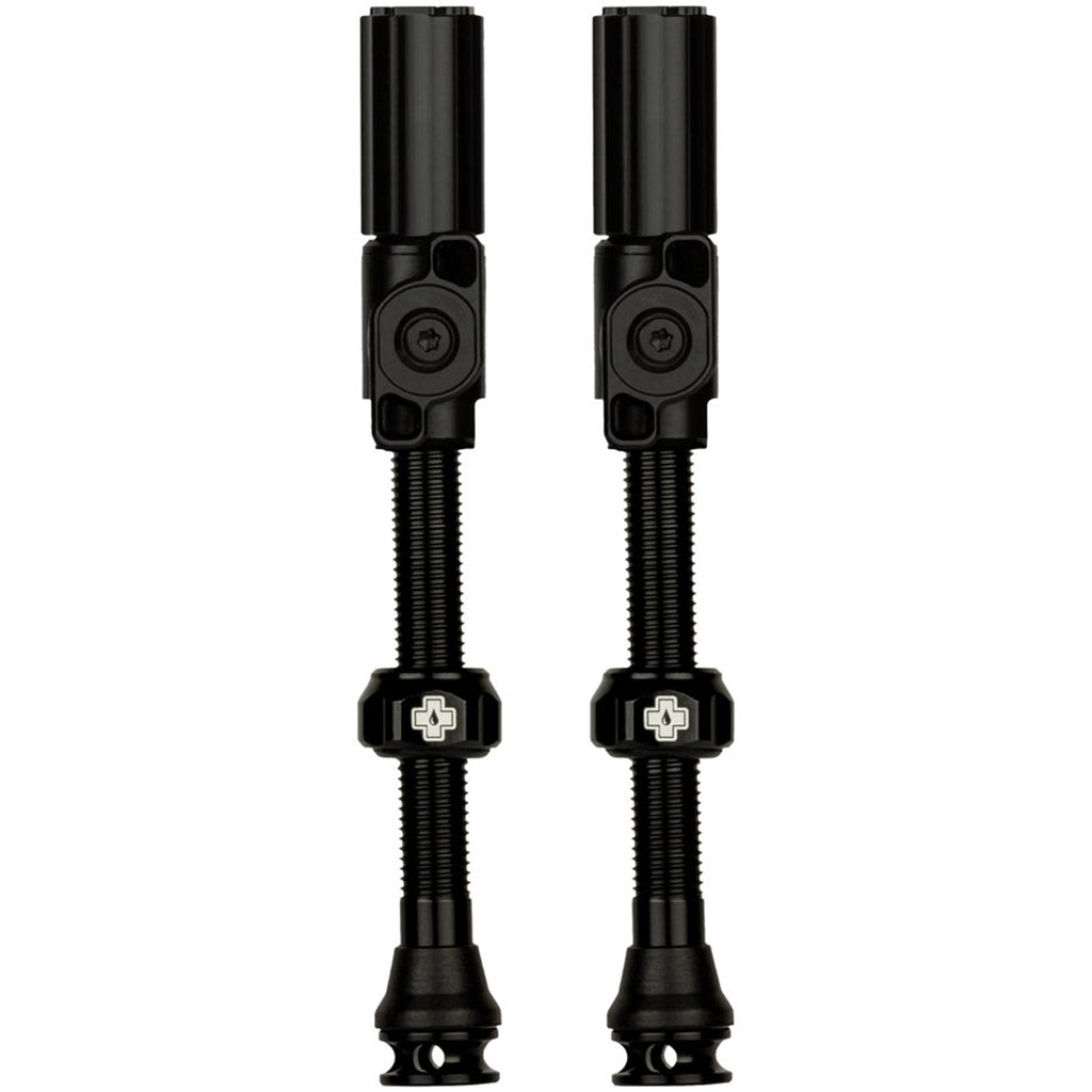 Big Bore Hybrid Tubeless Valve Stems