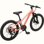 Dart Plus 20" Kids Bike 7 Speed (6-8 years)